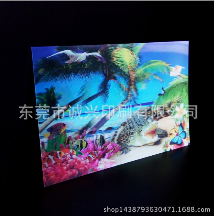 �|ݸ3Dӡˢ�S(ch��ng)���ṩ pet���ӡˢ PP������wӡˢ 3D׃�D��Ƭӡˢ